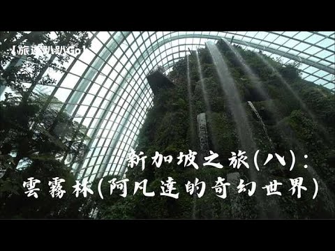 【旅遊趴趴Go】新加坡之旅(八)：雲霧林(阿凡達的奇幻世界)