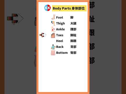 【零基礎英文】身體部位單詞 body parts #英文   #常用 英文 #單詞 口語 #常見短語 #常見短語