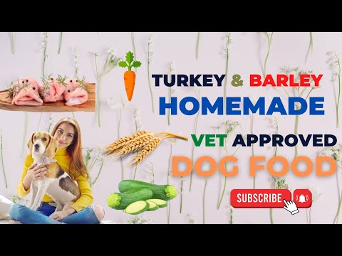 Turkey and Barley | Homemade | Vet approved | Dog food | Recipe | DIY Dog Food | Blogs by Ibrar