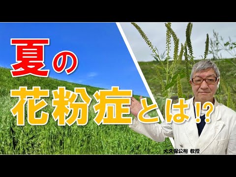 ７月８月の花粉症は何？夏の花粉症について大久保公裕先生がやさしく解説