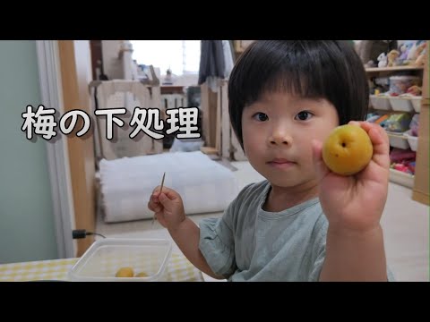 大量の梅の下処理をして梅酒をつくろう