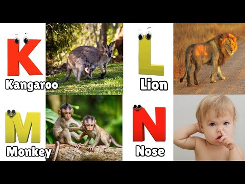 Phonics Song for Toddlers | Phonics Sounds of Alphabet A to Z | ABC Phonic Rhyme | Abcd