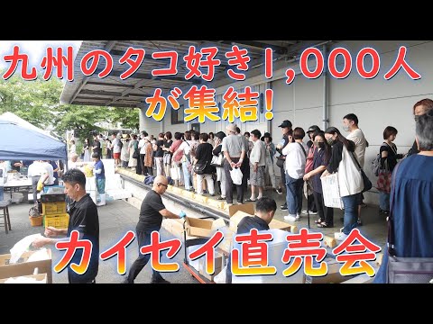 九州のタコ好き1,000人が集結!タコのシェア九州NO.1カイセイの工場と直売会に密着