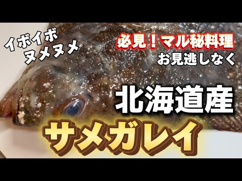 北海道産サメガレイで絶品料理ができちゃった！もちろん刺身も美味！