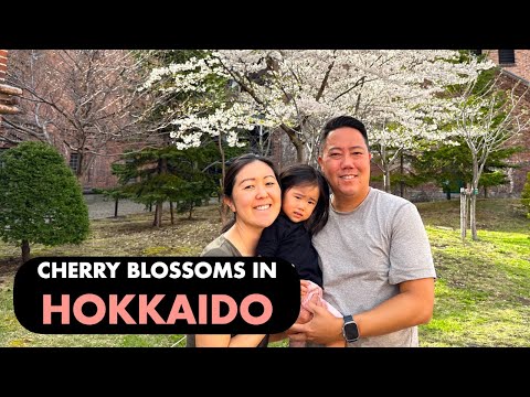 Springtime in HOKKAIDO, Japan Travel With Kids!