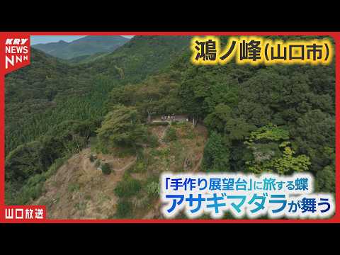 旅するチョウ・アサギマダラの舞う展望台が魅せる・人々のつながりと自然の力／山口県山口市鴻ノ峰