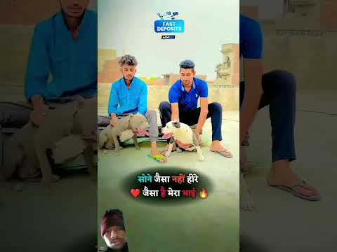 Mis univers bhai ka short video