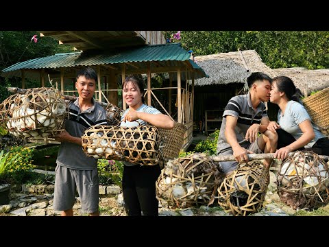 Linh's 30-Day Challenge to Grow the PERFECT Vegetable Garden, Catch ducks to sell | Linh's Life