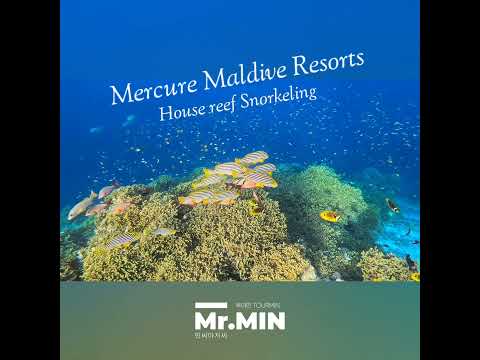 몰디브 스노클링 쉽게 줄길수 있는곳 머큐어 몰디브 리조트 mercury maldive resort #투어민 #tourmin