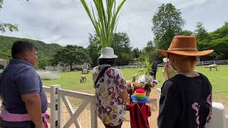 Jaeseon @The Scenery Vintage Farm