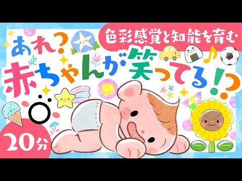 【赤ちゃんが喜ぶ音と色】赤ちゃんが笑ってる!?│赤ちゃんが泣き止む・笑う 喜ぶ歌│ソポアートパーク公式│乳児・幼児向け動画│0歳/1歳/2歳/3歳│アニメ│baby anime