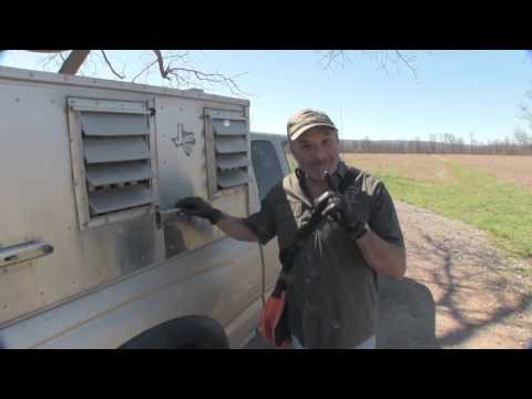 Watch a Blind Dog Point and Retrieve birds