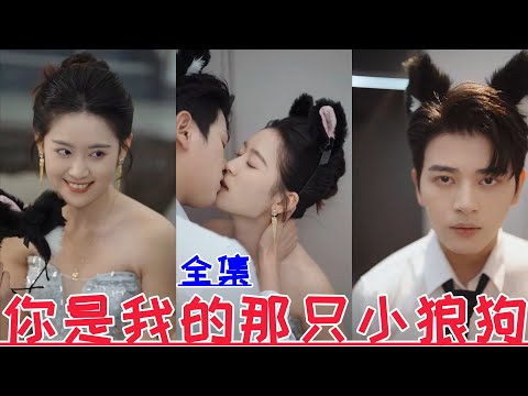 【MULTI SUB】You are my little wolfdog💕Zhai Yiying & Zuo Ming💕New drama【Full episode】