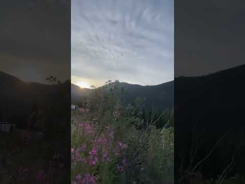 Sunsets and flowers! #summer #pnw #alpinelake #mountains #nature #sunshine #sunset #flowers #wild