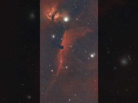 What the Horsehead Nebula looks like with a smart telescope 🔭- Vaonis Vespera