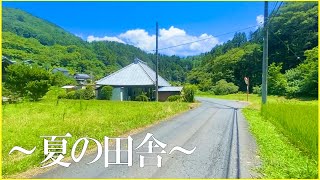 【夏の田舎の風景】とある田舎のノスタルジック『エモすぎる夏の田舎道』『夏の環境音』【田舎の風景・田舎暮らし】