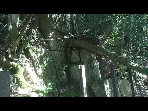 某ダム下流の謎遺構