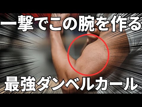 【一撃で筋肉痛 】腕細いヤツ全員聞け！上腕二頭筋をぶち壊すポイントを1分で解説します。【切り抜き レモンチャンネル】