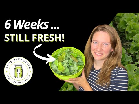 How to Keep Lettuce FRESH in the Fridge for 6 Weeks 🥬