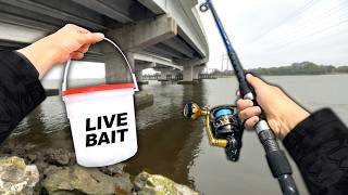 Fishing UNDER a Sketchy Bridge.. (Bank Fishing)