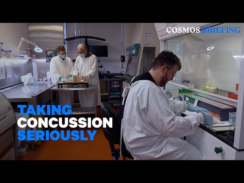 Inside the Australian Sports Brain Bank | Cosmos Briefing #science #sports