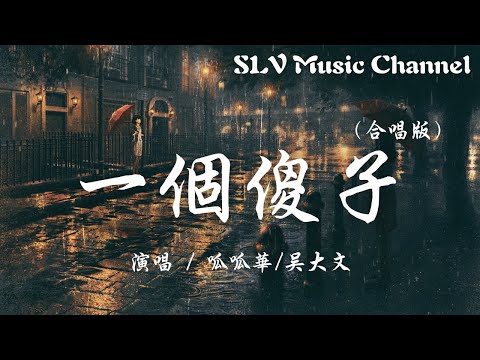 呱呱华/吴大文 - 一个傻子(合唱版) [原唱：杨博然]【可惜事情都没有如果，如同明星的你怎会在乎我。】『動態歌詞Lyrics』♫