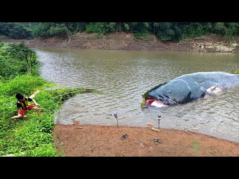 fishing skills. Summary of 15 top fishing and fish trapping methods of poor boy Hien