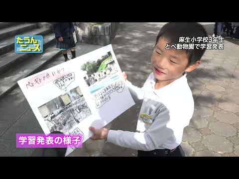 【4K】たうんニュース2024年11月「とべ動物園で麻生小学校3年生が学習発表」