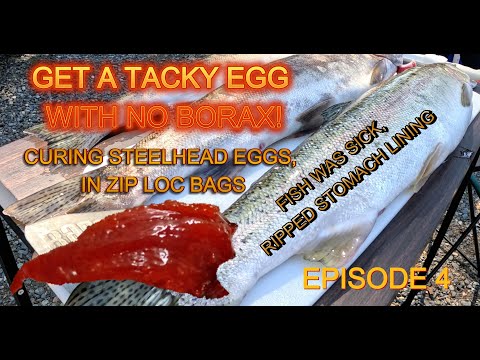 EGG CURE NO.4, ZIP LOCK BAG CURE,FAN DRY-LONGER LASTING EGGS! #fishingtips #fishing #catchingfish