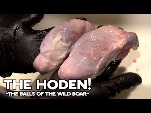 The Hoden! -The balls of the wild boar-