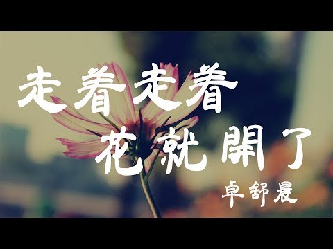 走著走著花就開了 - 卓舒晨 - 『超高无损音質』【動態歌詞Lyrics】