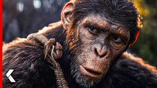 New Images From KINGDOM OF THE PLANET OF THE APES - KinoCheck News