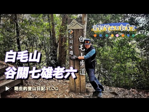 【白毛山】谷關七雄老六 | 一座光走到登山口就累的山 | 2.3k爬升700m | 谷關唯二有景觀的山 | 白鹿吊橋 | 屬於網美的山 | 2022.03.03 記錄拍攝