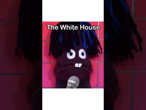 The White House #thewhitehouse #puppetshow #voiceover