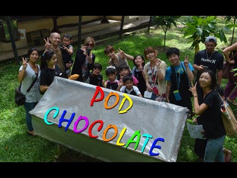 バリ島でチョコレート作り体験【ポッド チョコレート工場】Pod Chocolate Factory & Cafe　【VLOG】🌺