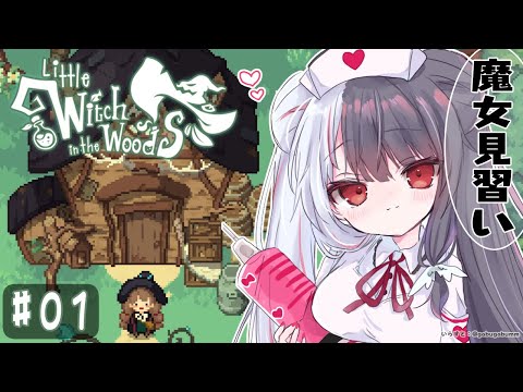 【 Little Witch in the Woods 】将来の魔女がここに誕生⁉ ( 'ω' و( و"♪【夜見れな/にじさんじ】