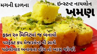 મગની દાળના ઇન્સ્ટન્ટ નાયલોન ખમણ પરફેક્ટ માપ અને ટિપ્સની સાથે બનાવો | Hindi Sindhi Food