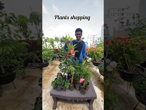 Plants shopping 🛍️ 🪴