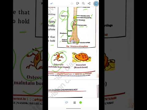 osseous system human anatomy and physiology | B/Dpharmacy #dsssb #esic #exam #pharmacist #pharmajob