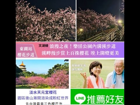 2024樂活夜櫻季「夜光電櫻」｜上百株寒櫻/八重櫻/昭和櫻/吉野櫻綿延3公里！徜徉粉色櫻花河畔大道綻放至2/29