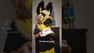 It's over!#furry #fursuit #fursona #furryfandom#fursona #furries #furrymeme #furrycommunity #oc