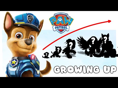 PAW Patrol 2024 Mighty Pups Growing Up Compilation | Cartoon Wow