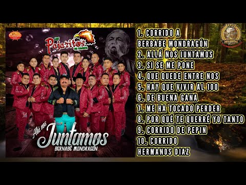 CD - ALLA NOS JUNTAMOS / LOS PAJARITOS DE TACUPA / ¡¡¡ALBUM COMPLETO 2021!!!