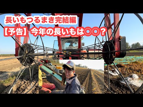 今年の長芋堀りは○○で大変？【予告】長いもつるまき完結編