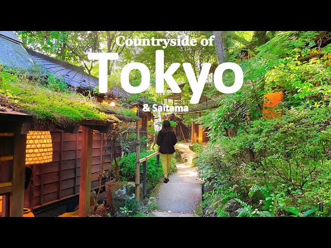 Rural Tokyo, 1 Hour from Shinjuku | Ghibli-Like Summer | Akiruno & Tokorozawa | JAPAN TRAVEL VLOG