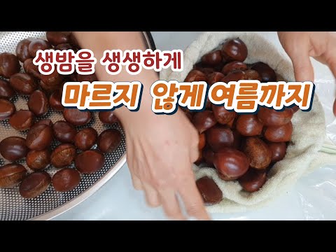 수건 있으신가요/ 생밤을 수건 자루에 넣어보세요/생밤을 1년 간 보관할 수 있는 방법/알밤,생밤 냉장보관/