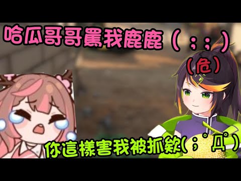 【哈瓜哈瓜精華】哈瓜:鹿鹿警報(｡A｡) 鹿比:你真是個王八鹿鹿 ft.神無月鹿比