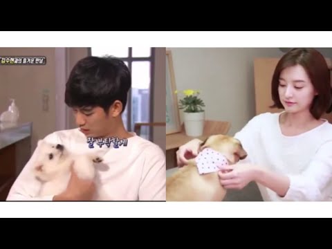 Soowon With Puppy || Kim Soo Hyun ♡ Kim Jiwon || Queen Of Tears