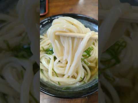 【讃岐うどん】なりや上福岡店!!香川県のお昼ご飯。うどんだけ見つめてる!!