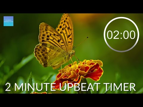 Countdown Timer 2 Minutes With Music -  ⏰ Insects 🐝 - Upbeat timer - pack up time music